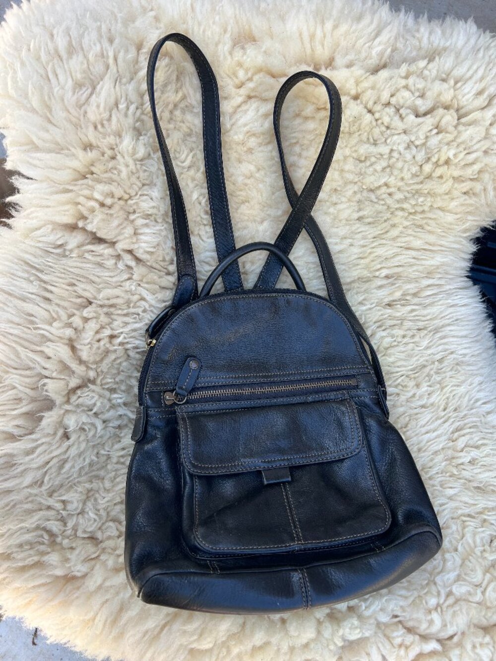Fossil Backpack